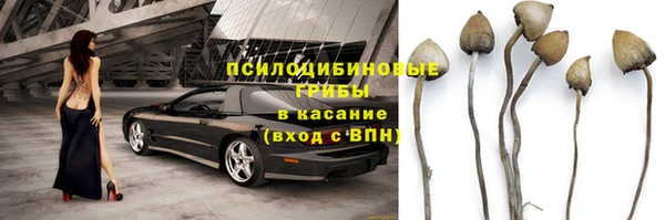 трава Бородино