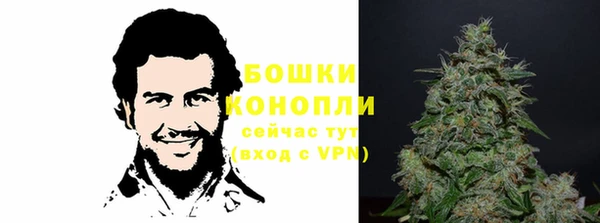 трава Бородино