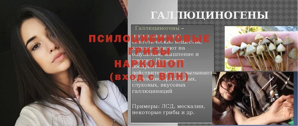 ПСИЛОЦИБИНОВЫЕ ГРИБЫ Беломорск